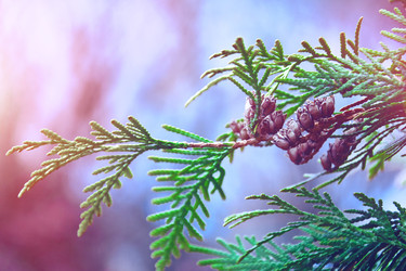 Similar image 22077668