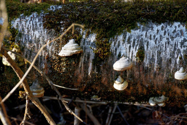 Similar image 22084133