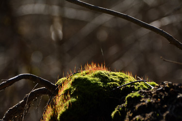 Similar image 22083402