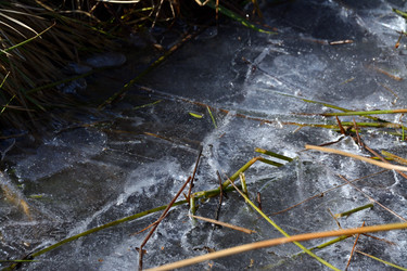 Similar image 22083403