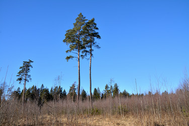 Similar image 22083404