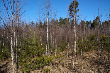 Similar image 22078196