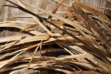 Similar image 22084135