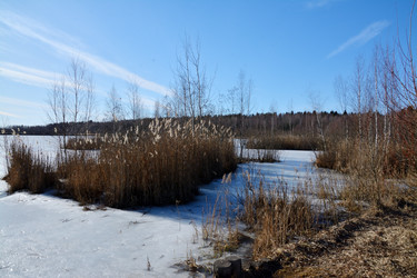 Similar image 22085218