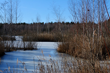 Similar image 22085219