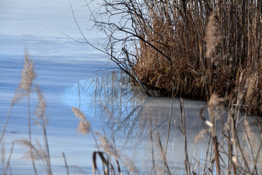 Similar image 22085220