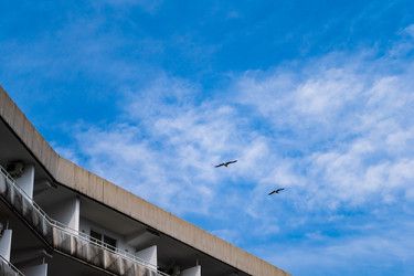 Similar image 22081161