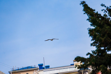 Similar image 22081162