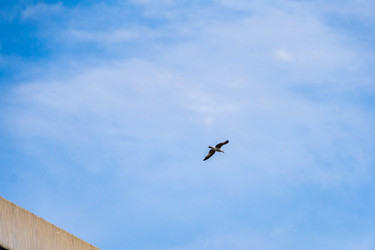 Similar image 22081163