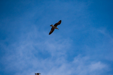 Similar image 22081164