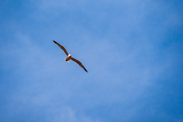 Similar image 22081165