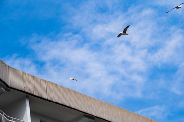 Similar image 22081166