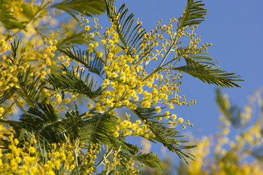 Similar image 22077669