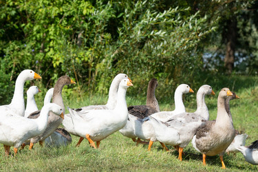 Similar image 22079684