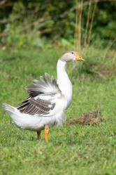 Similar image 22081776