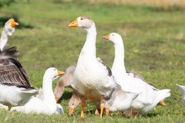 Similar image 22082138