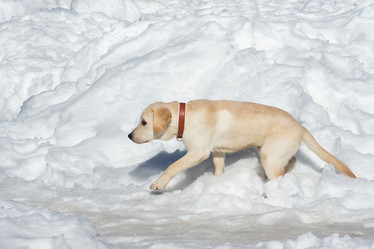 Similar image 22082142