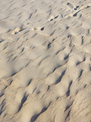 Similar image 22077671