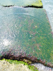 Similar image 22077678