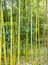 Similar image 22077679