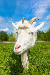 Similar image 22079456