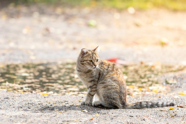 Similar image 22079467