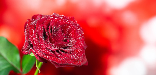 Similar image 22079469