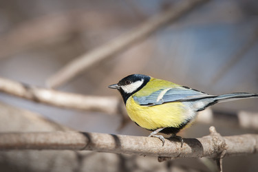 Similar image 22079476