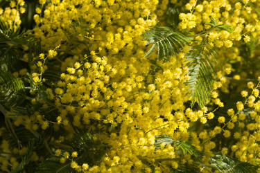 Similar image 22078328