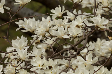 Similar image 22078329