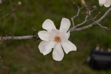 Similar image 22078204