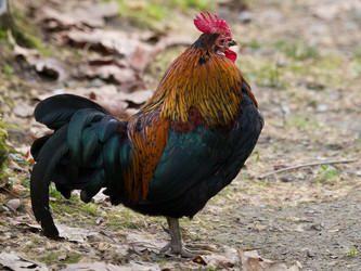 Similar image 22078330