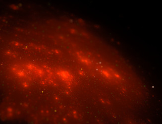 Similar image 22078650