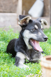 Similar image 22082147