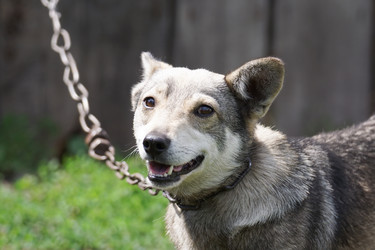 Similar image 22078762