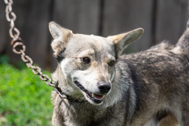 Similar image 22078794