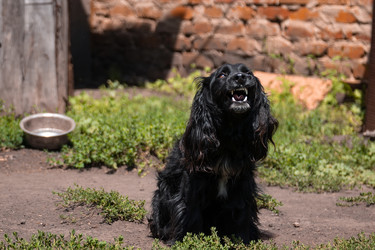 Similar image 22078795