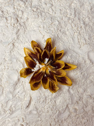 Similar image 22078332