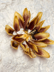 Similar image 22078333