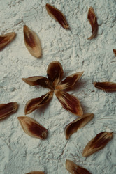 Similar image 22078334