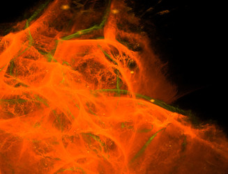 Similar image 22078612