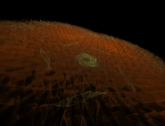 Similar image 22078665