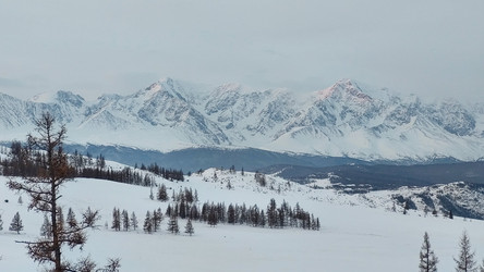 Similar image 22077920