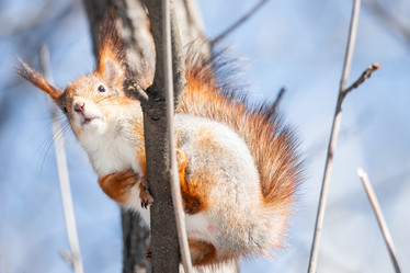 Similar image 22079696