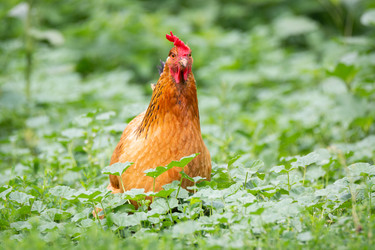 Similar image 22079697