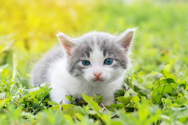 Similar image 22079705