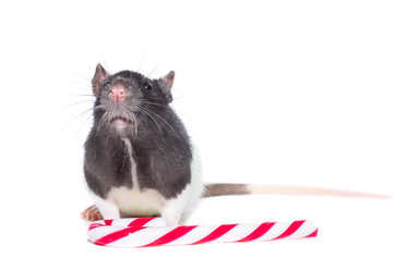 Similar image 22079708