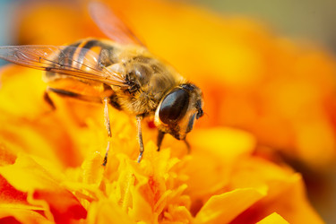 Similar image 22081779