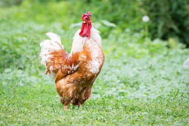 Similar image 22078763