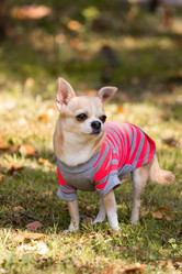 Similar image 22078803